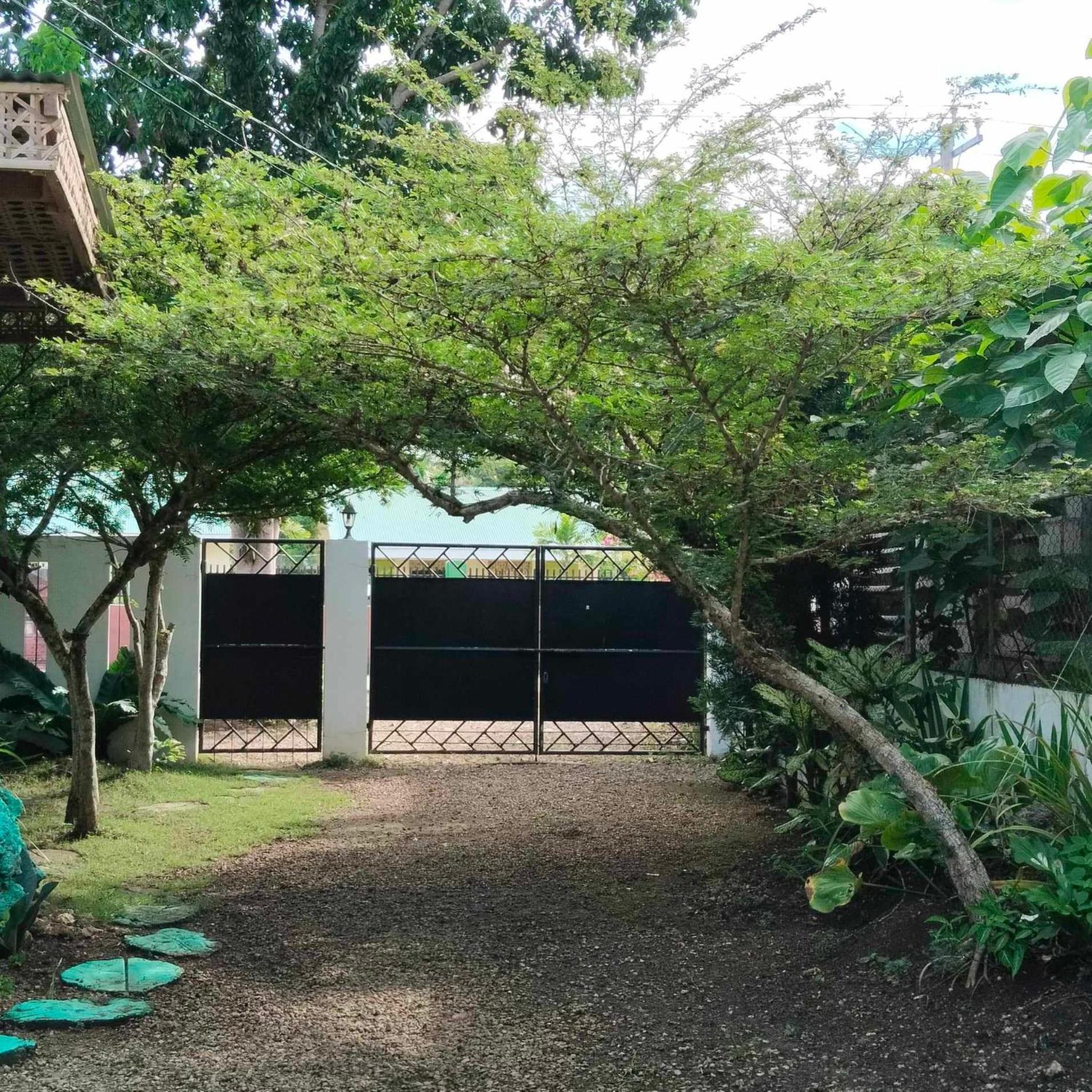 Mannah Garden Staycation Place Panglao Island Exterior photo